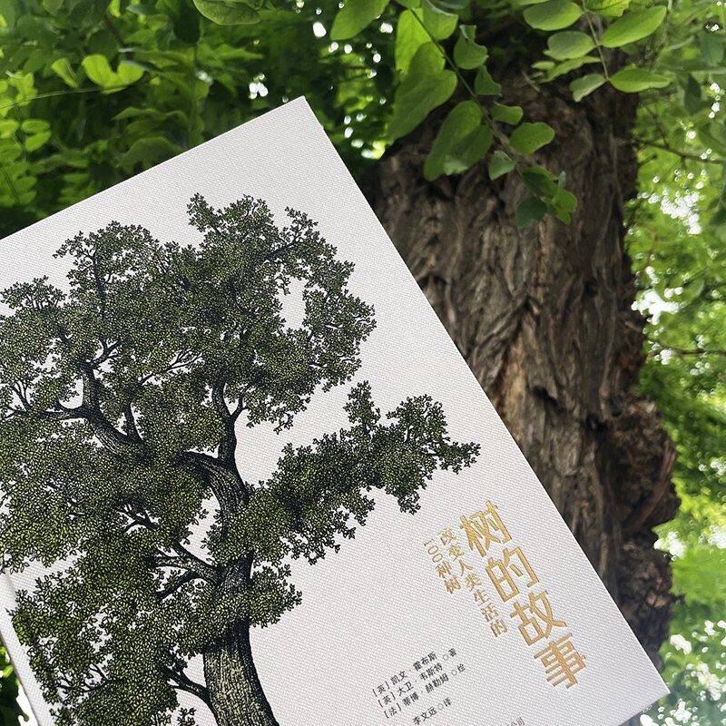 树的故事 改变人类生活的100种树  直观了解植物外形叶花和果 紫杉黄杨无花果树行道树园林观赏植物学科普书籍现货 后浪官方正版