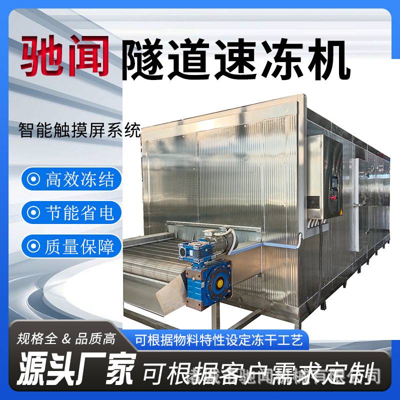 肉面食品加工厂速冻机 快速冷冻锁鲜水果蔬菜大型隧道式速冻机