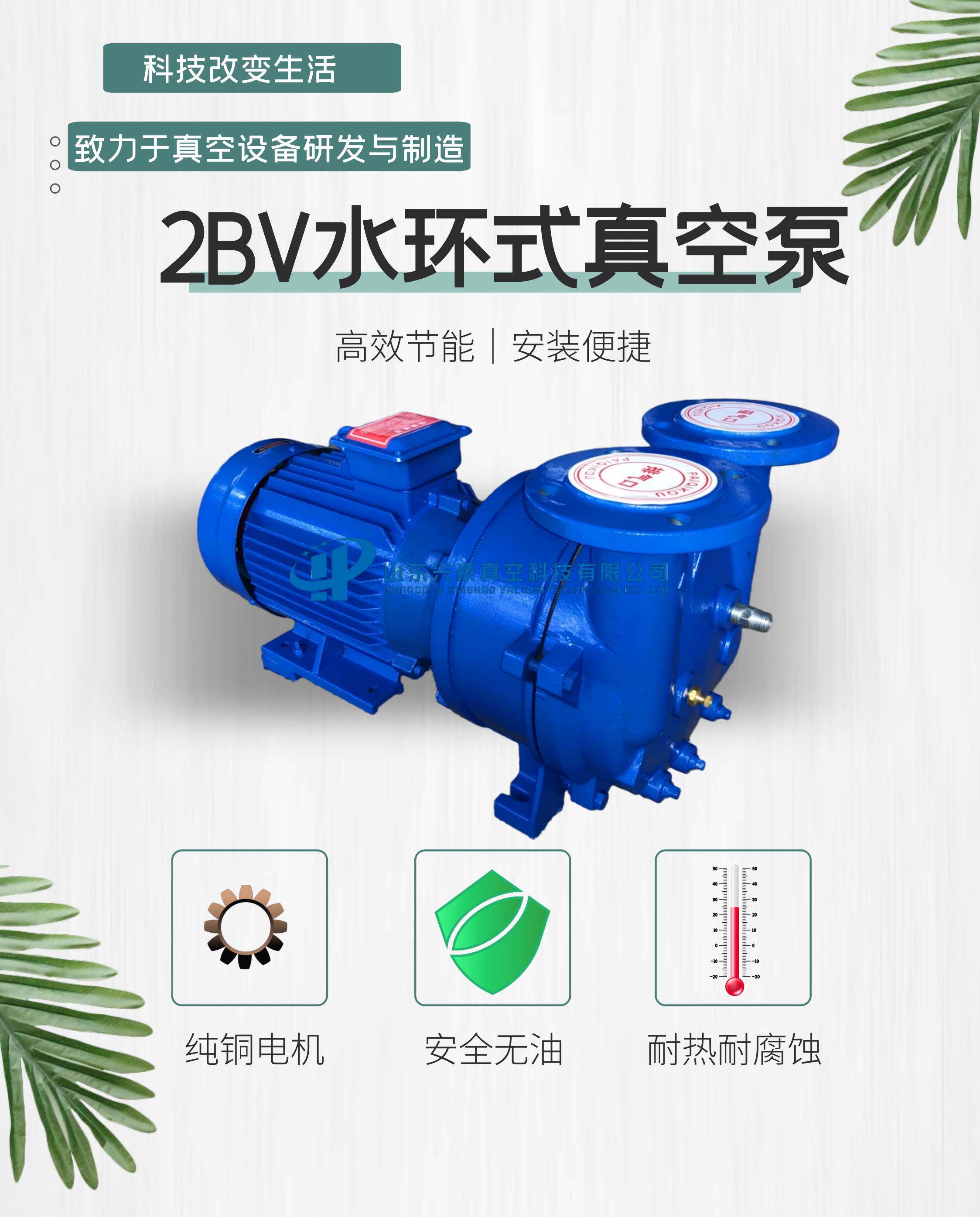 淄博博山2bv水环式真空泵工业用水循环高真空抽气泵负压泵压缩机