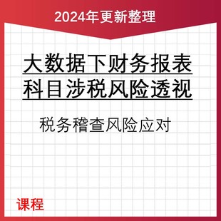 2024年财务报表涉税风险透视与税务稽查 视频课程 含工具包