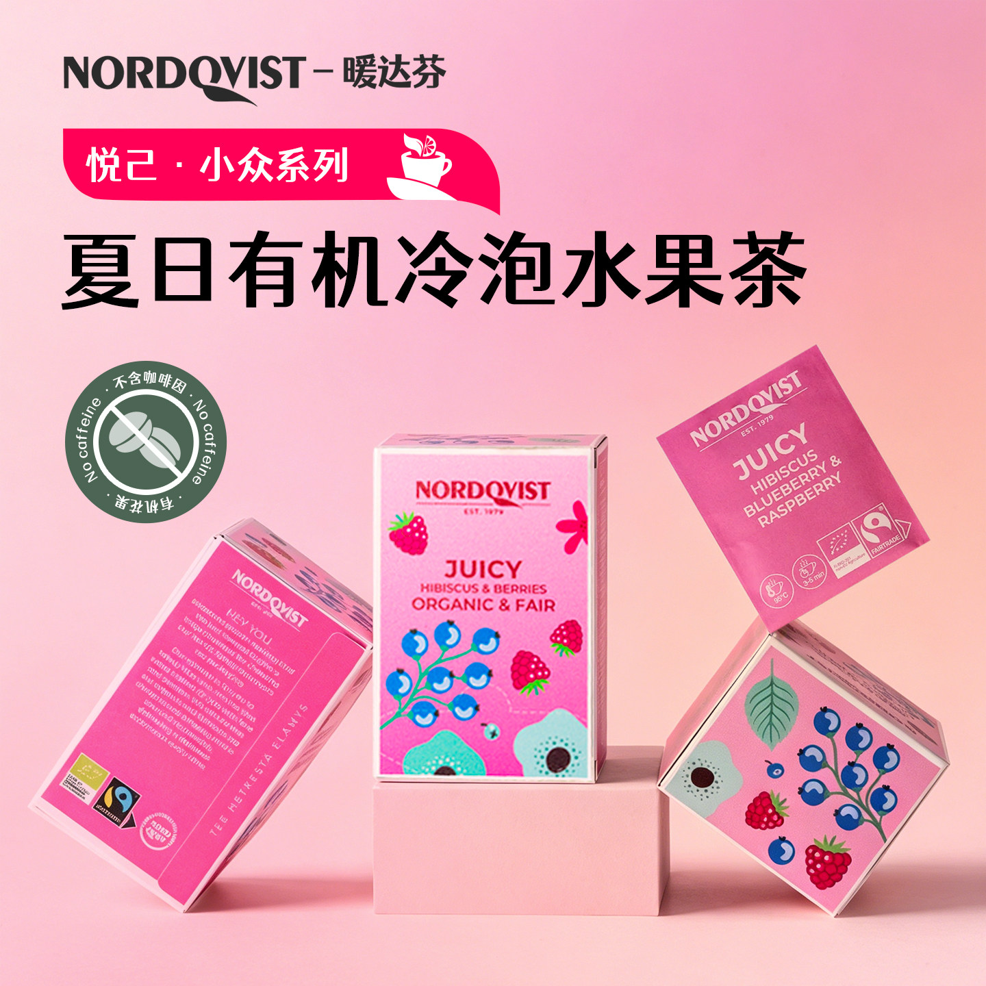 芬兰NORDQVIST有机冷泡洛神花水果茶莓茶南瓜夏日冲泡饮品小包