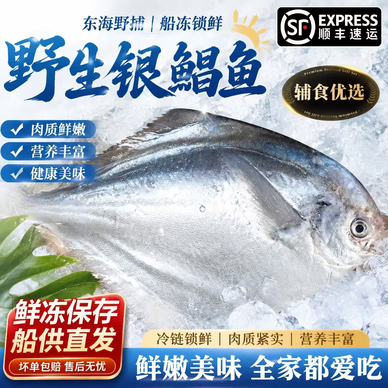 新鲜银鲳鱼金鲳鱼冷冻海鲜水产鲜活海鱼小鲳鱼昌鱼平鱼鲳鳊鱼晶鱼