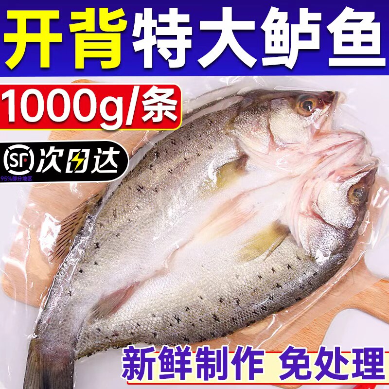 海鲈鱼开背新货鲜冷冻鲜活海鱼