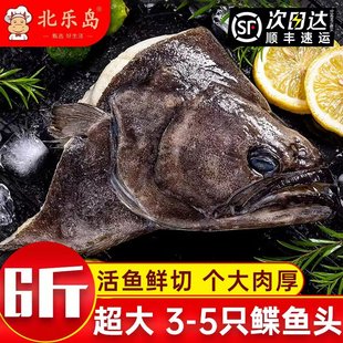 碟鱼头冷冻鲽鱼头超大鸦片鱼头深海新鲜比目鱼雅片鱼头蝶鱼头海鲜