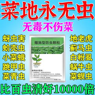 防虫颗粒剂蔬菜除虫颗粒菜地防虫无毒撒施型专用地上地下害虫杀虫