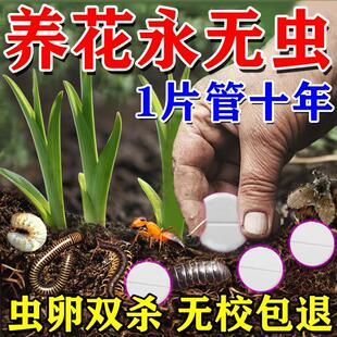 土壤杀虫剂家用花卉盆栽防虫颗粒无毒除小黑飞蚜虫蓟马白粉虱药片