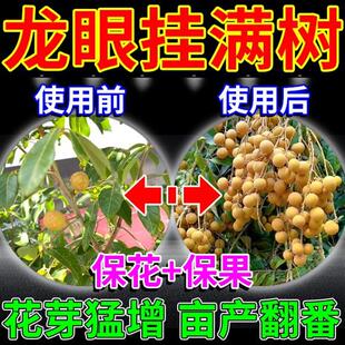 龙眼催花药桂圆荔枝丰产素促进花芽分化防裂防落果树坐果增产专用