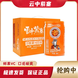 云中紫塞山西特产沙棘野生280ml饮品罐装酸甜55%果汁浓度整箱饮料
