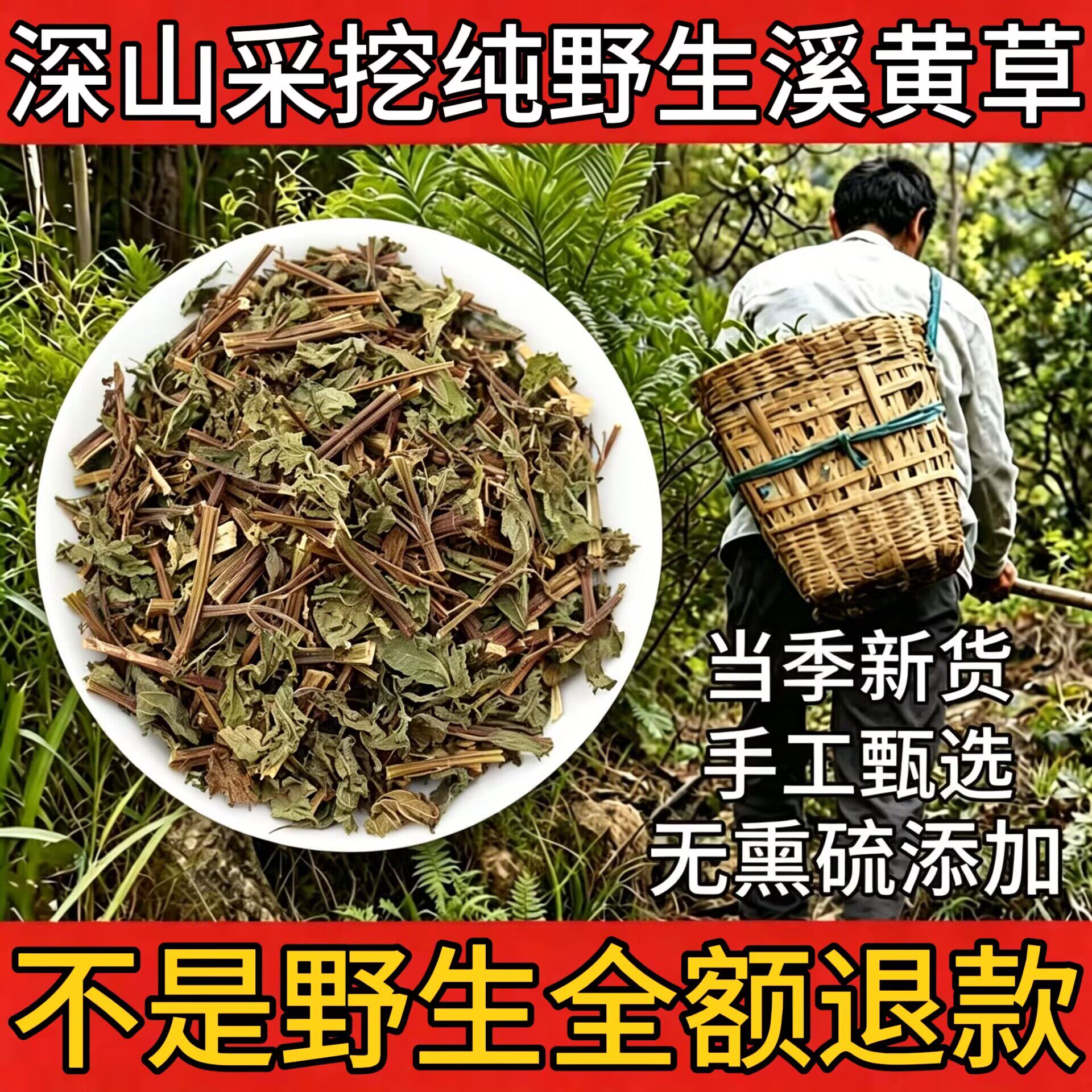 野生溪黄草中药材500g正品溪王草现摘清热熬夜益肝茶煲汤去湿新货