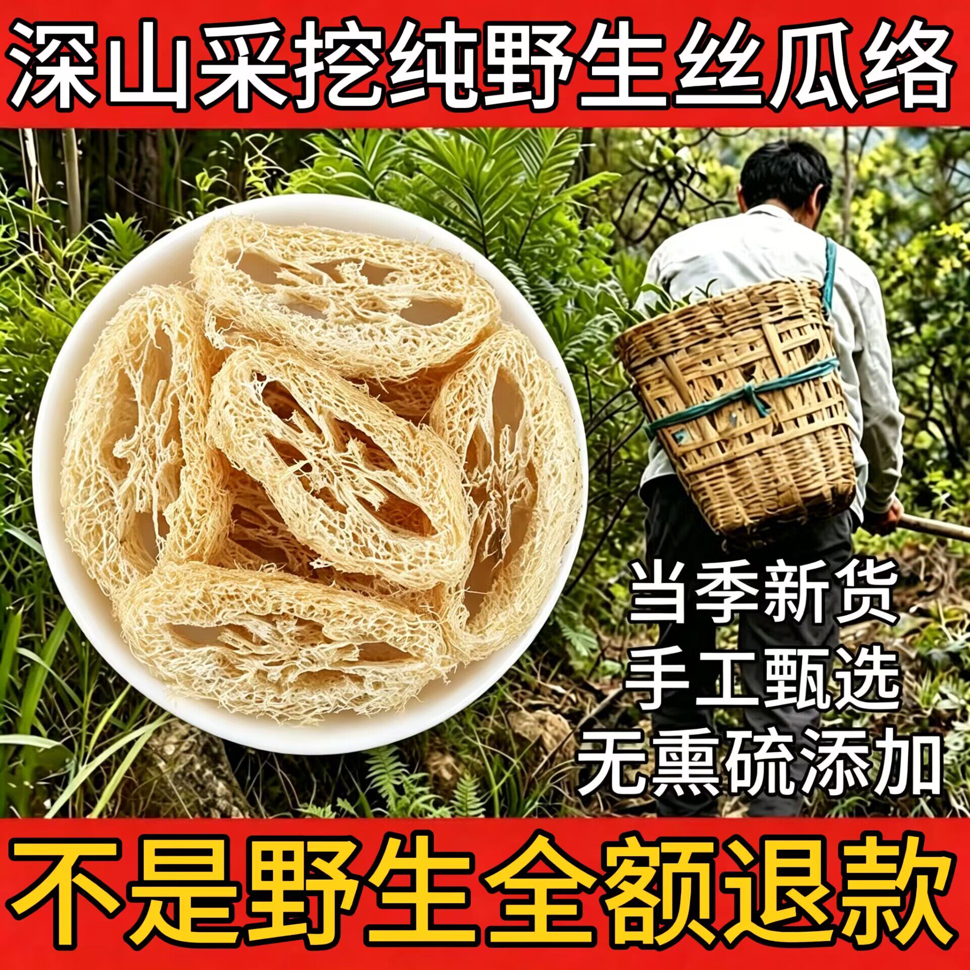 野生老丝瓜络下奶通经络无碎煮茶