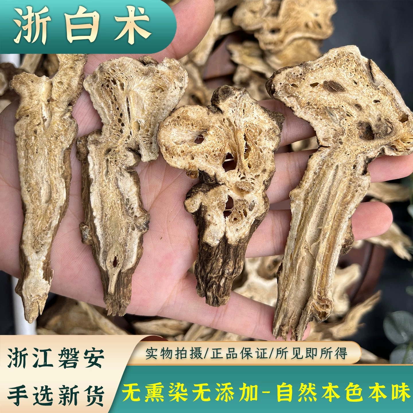 野生白术中药材500g无硫生白术炒片白术粉白芍茯苓甘草白芷三白汤