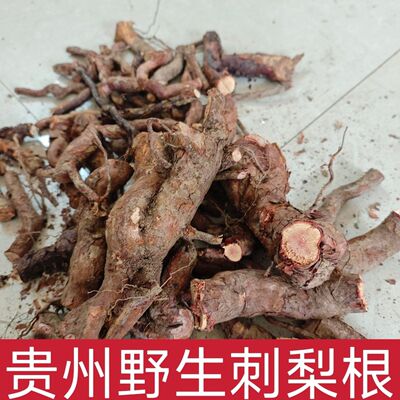 【真野生】现挖现发老刺梨根正品