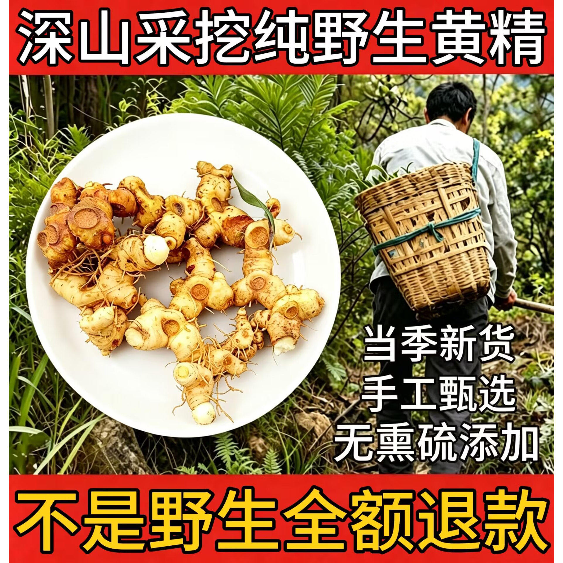 深山新鲜黄精中药材现挖鸡头黄精大块生鲜无硫熏蒸制煲汤泡酒滋补