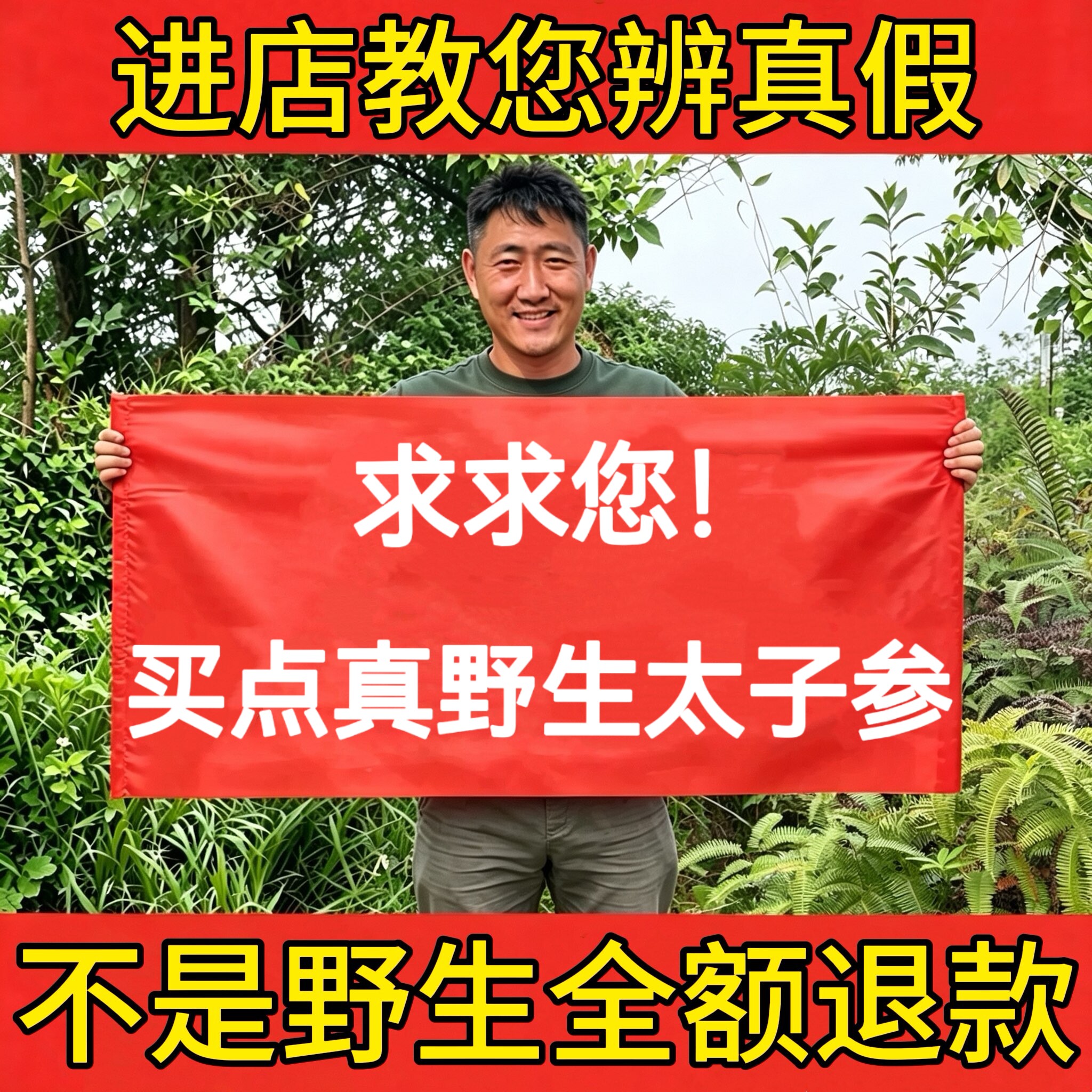 太子参野生特级中药材新货泡水麦冬无花果煲汤天然养颜中草药无硫