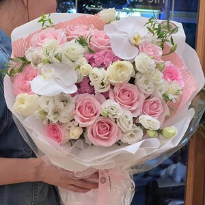 北京蝴蝶兰进口鲜花生日