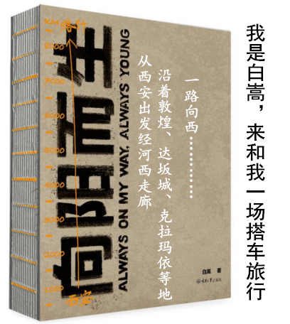 正版现货 向阳而生 白嵩 著 一本关于激情关于梦想关于体验关于成长的书 心灵疗愈好心态哲理书青春励志读物 自我激励志正能量书籍