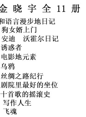 金晓宇翻译 全11册 飞魂+乌鸦+和语言漫步的日记+写作人生+狗女婿上门+诱惑者+电影的元素+丝绸之路纪行+安迪 沃霍尔日记