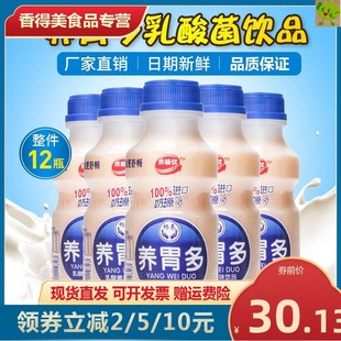 新货整箱养胃多乳酸菌酸奶饮品儿童学生早餐饮料340ml12大瓶脱脂