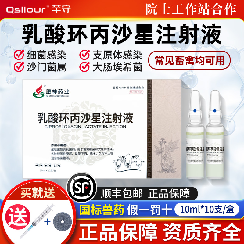 乳酸环丙沙星注射液兽用针剂猪牛羊禽支原体大肠杆菌感染正品兽药