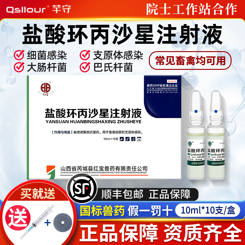 盐酸环丙沙星注射液兽用针剂猪牛羊禽支原体大肠杆菌感染正品兽药