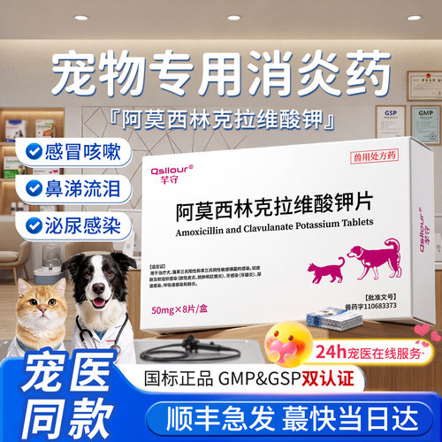 阿莫西林克拉维酸钾猫咪宠物专用狗狗消炎片感冒猫鼻支速泌诺尿药