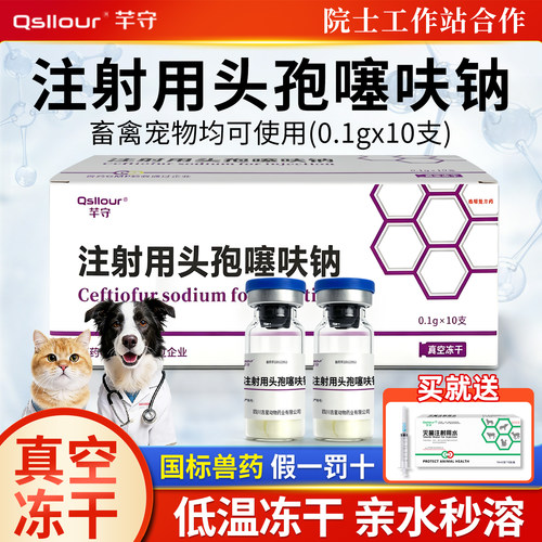 头孢噻呋钠注射兽用0.1g猫咪狗狗消炎针剂宠物犬猫用退烧药注射液