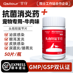 头孢羟氨苄片宠物狗狗消炎药犬猫咪专用头孢感冒药尿路感染皮肤病
