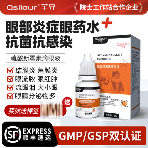 硫酸新霉素滴眼液猫咪狗狗眼药水