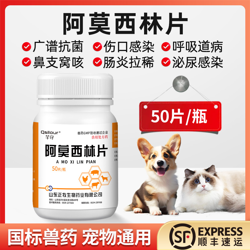 宠物狗狗猫咪猫感冒鼻支感染伤口消炎药口炎咳嗽阿莫西林片兽用鸡