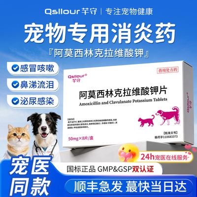阿莫西林克拉维酸钾猫咪宠物专用狗狗消炎药猫感冒鼻支速泌诺尿片