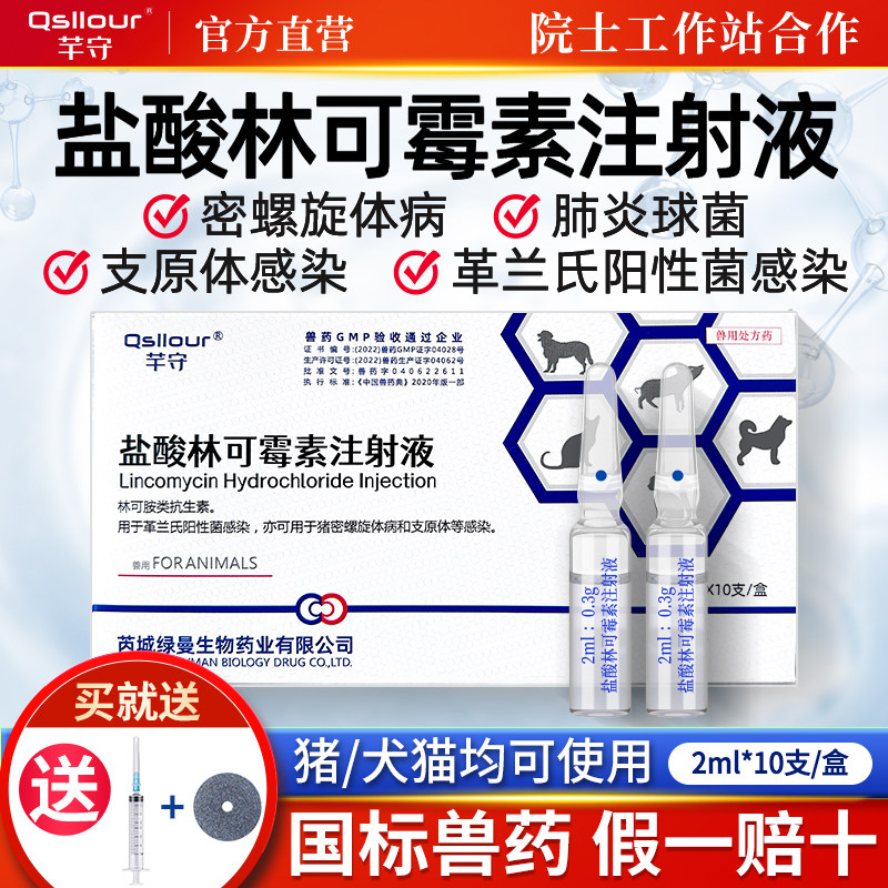 盐酸林可霉素注射用液宠物狗猫咪犬用鼻支感冒药窝咳嗽肺炎雾化液