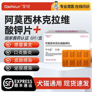 阿莫西林克拉维酸钾片猫狗用宠物专用消炎药感冒药猫鼻支速消炎诺