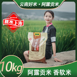 香软米籼米大米阿露贡米2025新品装米软糯香甜云南德宏特产20斤装