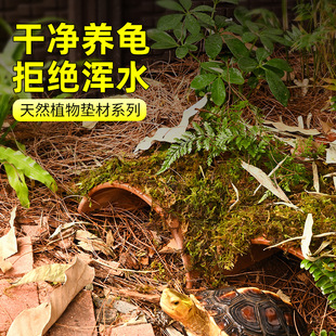 黄缘龟垫材半水龟生态环境造景安缘龟箱保湿专用龙眼叶松针松树皮