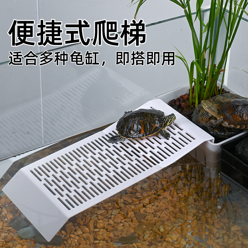 乌龟造景生态龟缸周转箱爬梯子