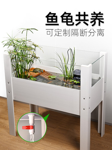 龟养箱、鱼龟共养与梯田、大生态景观、深水池、龟养、水陆底排水
