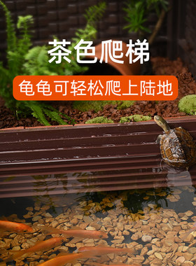 【配件】乌龟攀爬梯子内嵌玻璃缸专用塑料爬梯茶色楼梯配件
