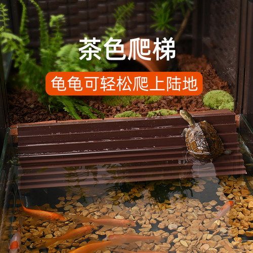 【配件】乌龟攀爬梯子内嵌玻璃缸专用塑料爬梯茶色楼梯配件
