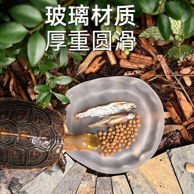 黄缘龟专用食盘水盘半水龟玻璃盆