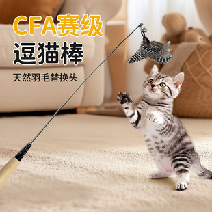 CFA赛级逗猫棒天然羽毛替换头耐咬自嗨解闷神器幼猫用品猫玩具
