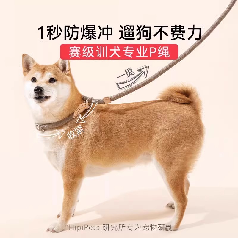 狗狗绳子防爆冲P链遛狗牵引绳防挣脱狗链子中小型犬防爆冲拴狗绳