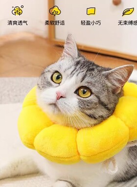 花朵造型伊丽莎白圈猫绝育项圈防舔防咬猫咪狗狗宠物头套宠物用品