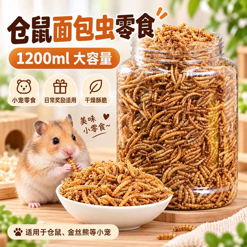 天然面包虫小宠营养加餐
