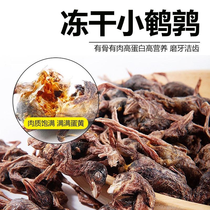 猫咪发腮磨牙洁齿增肥