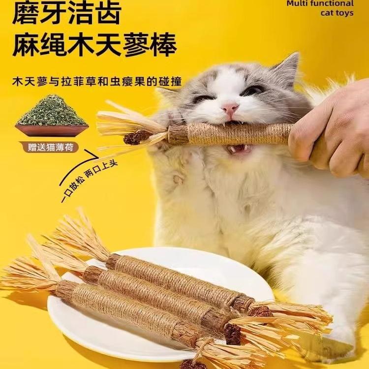 明星猫木天蓼，猫咪超上头