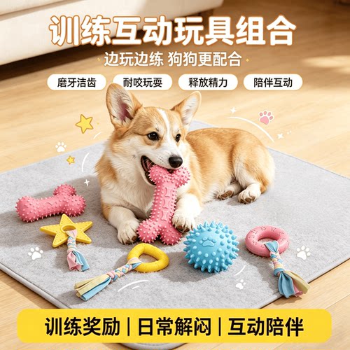 狗狗训练磨牙玩具套装耐咬洁齿