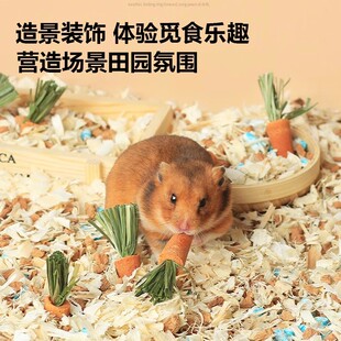 仓鼠磨牙棒胡萝卜金丝熊解闷自嗨玩具零食龙猫荷兰猪食用造景用品