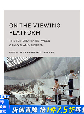 【预售】On the Viewing Platform 观景平台:画布和屏幕之间的全景 英文原版