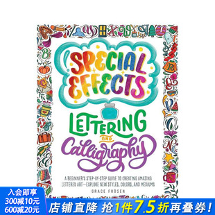 英文艺术画册画集 进口图书 Special and Calligraphy Lettering 西洋艺术字书法特效 Effects 正版 原版 现货