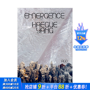 【现货】梁惠圭：浮现 当代艺术作品集 拼贴雕塑装置画册 Haegue Yang: Emergence 英文原版进口图书